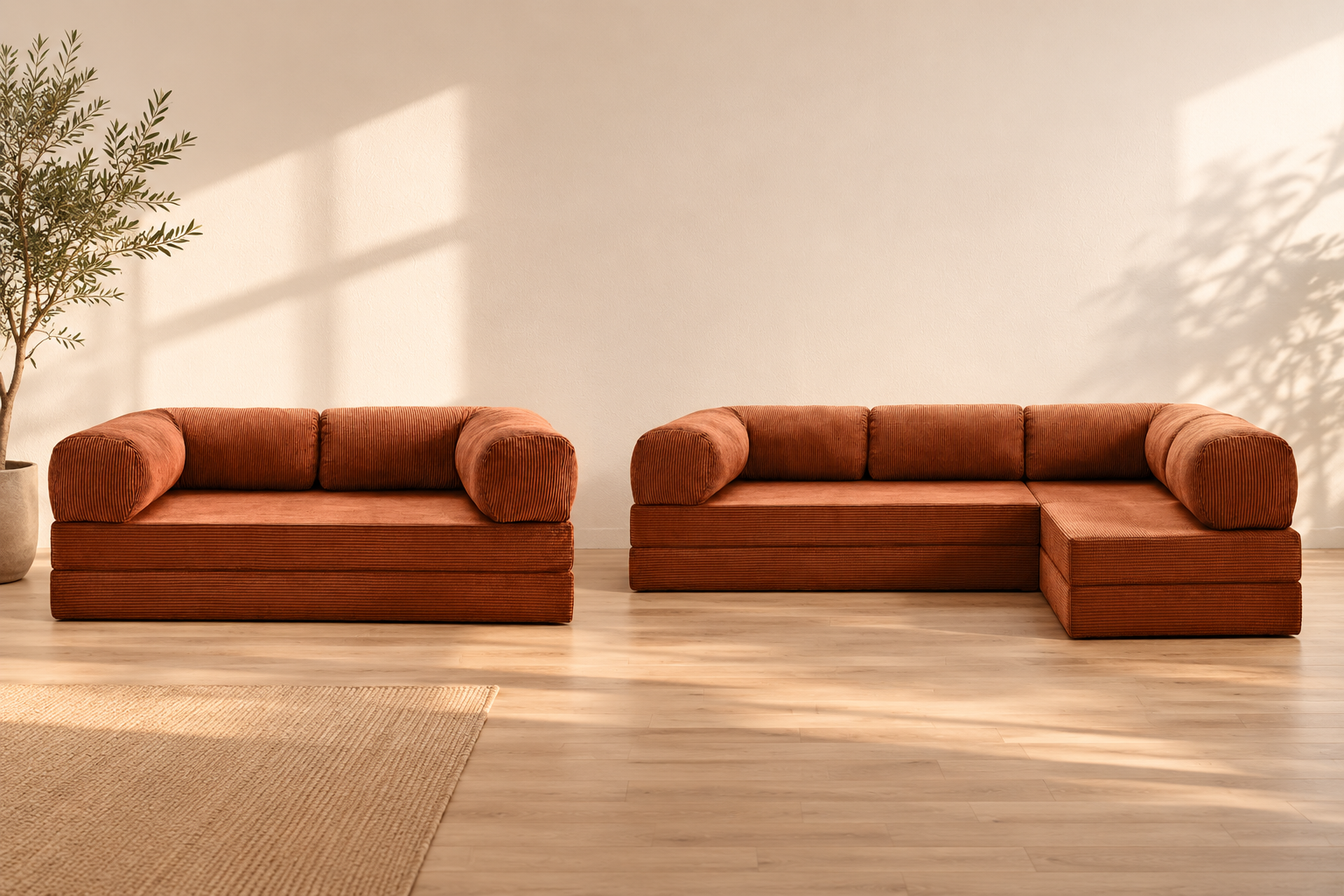 Petit espace : Louis ou Nova ? Comment choisir entre les deux